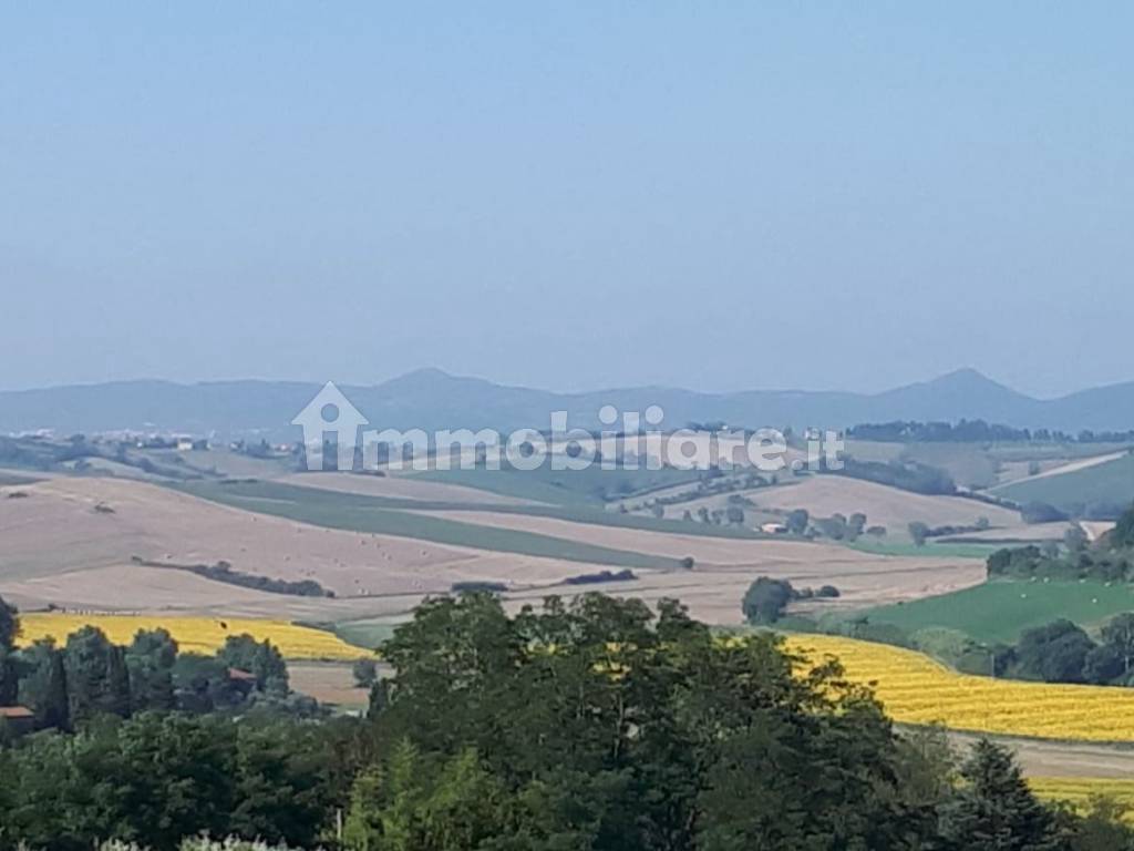 Vista
