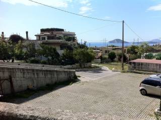 Zona