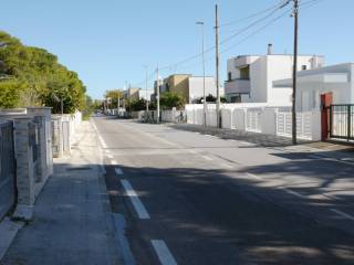 Zona