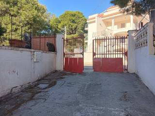 Zona