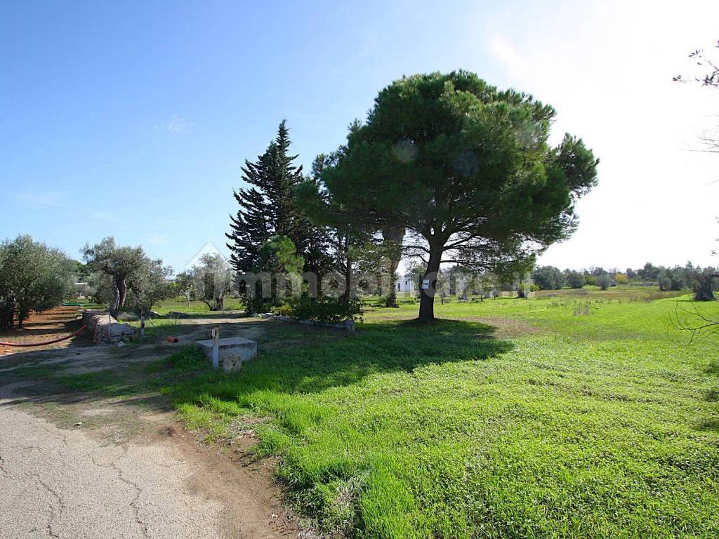 Terreno