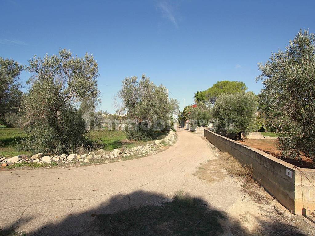 Terreno