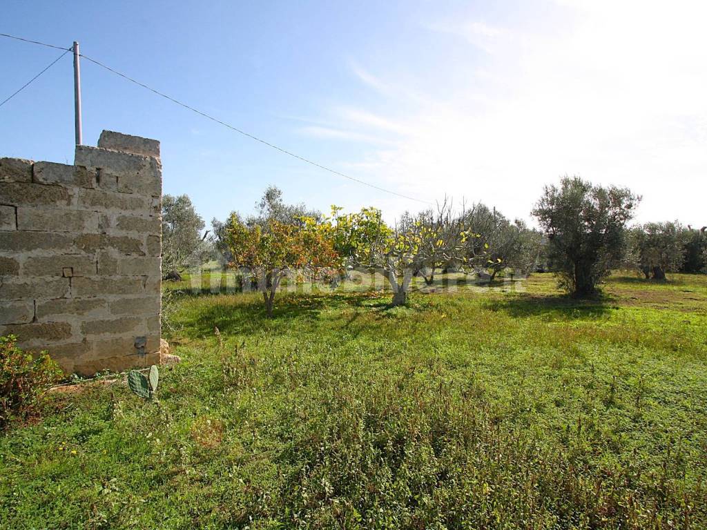 Terreno