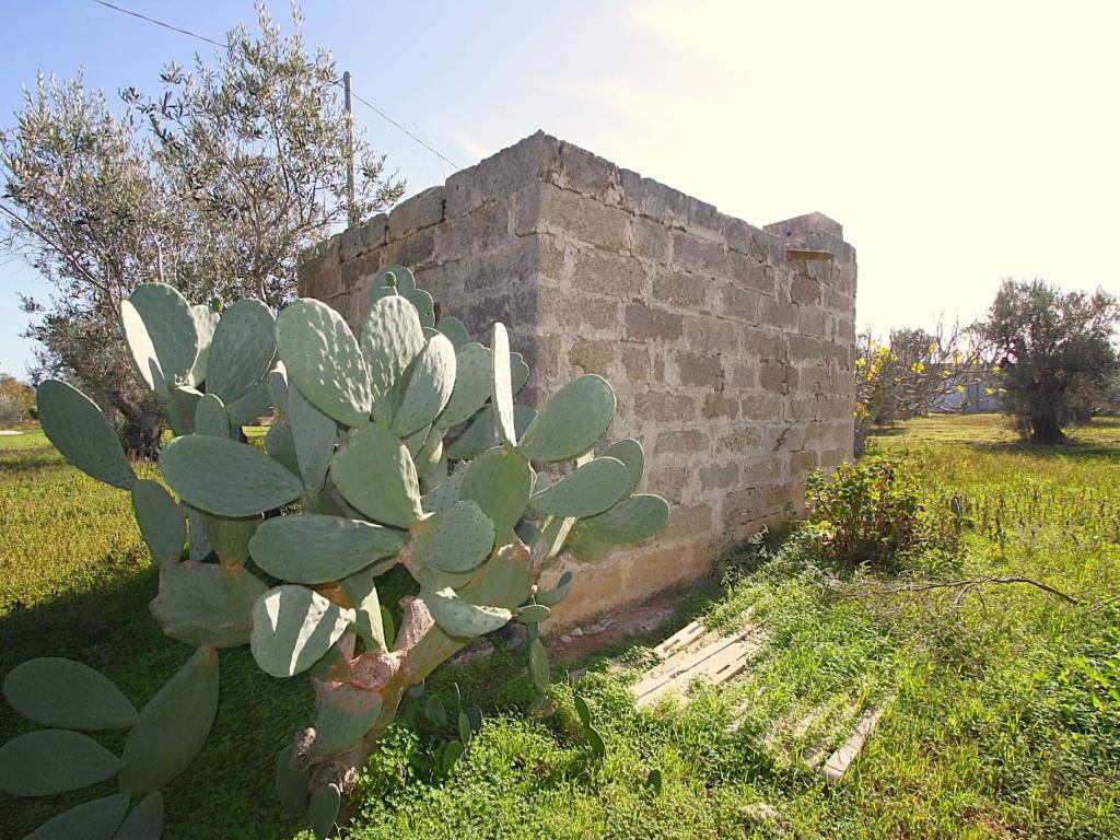 Terreno