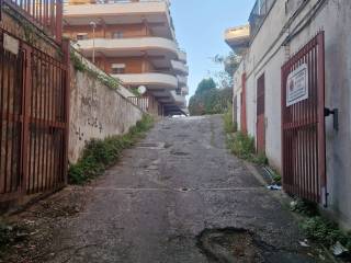 Zona