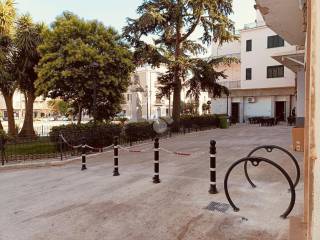 Zona