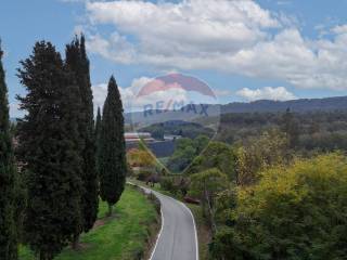 Vista