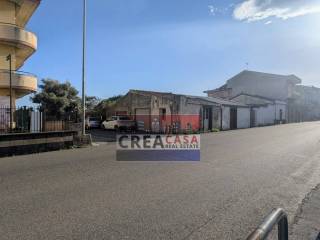 Zona