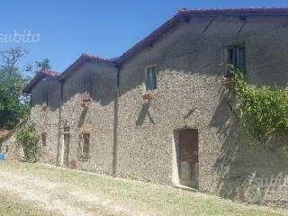 Zona