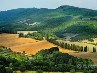 Vista
