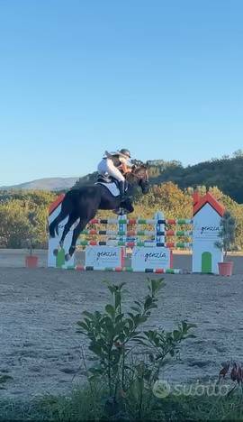 Appartamento in vendita a Scarperia e San Piero