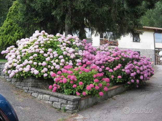 Villa in vendita a Scarperia e San Piero