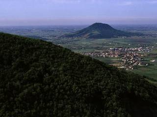 Vista