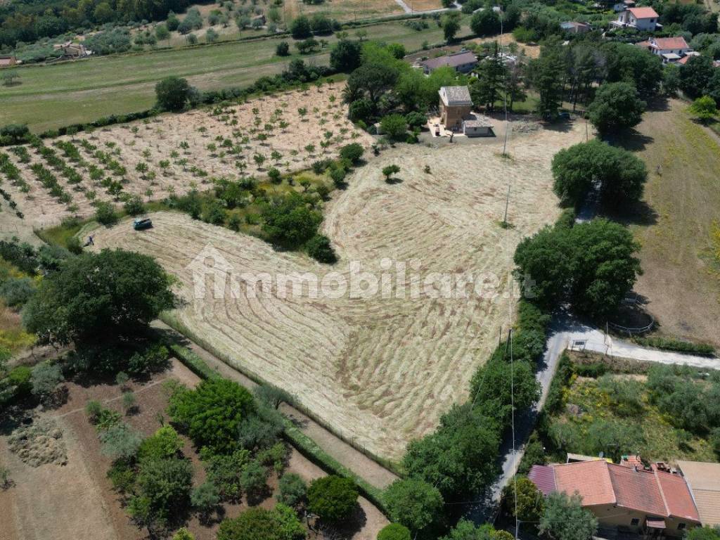 Terreno