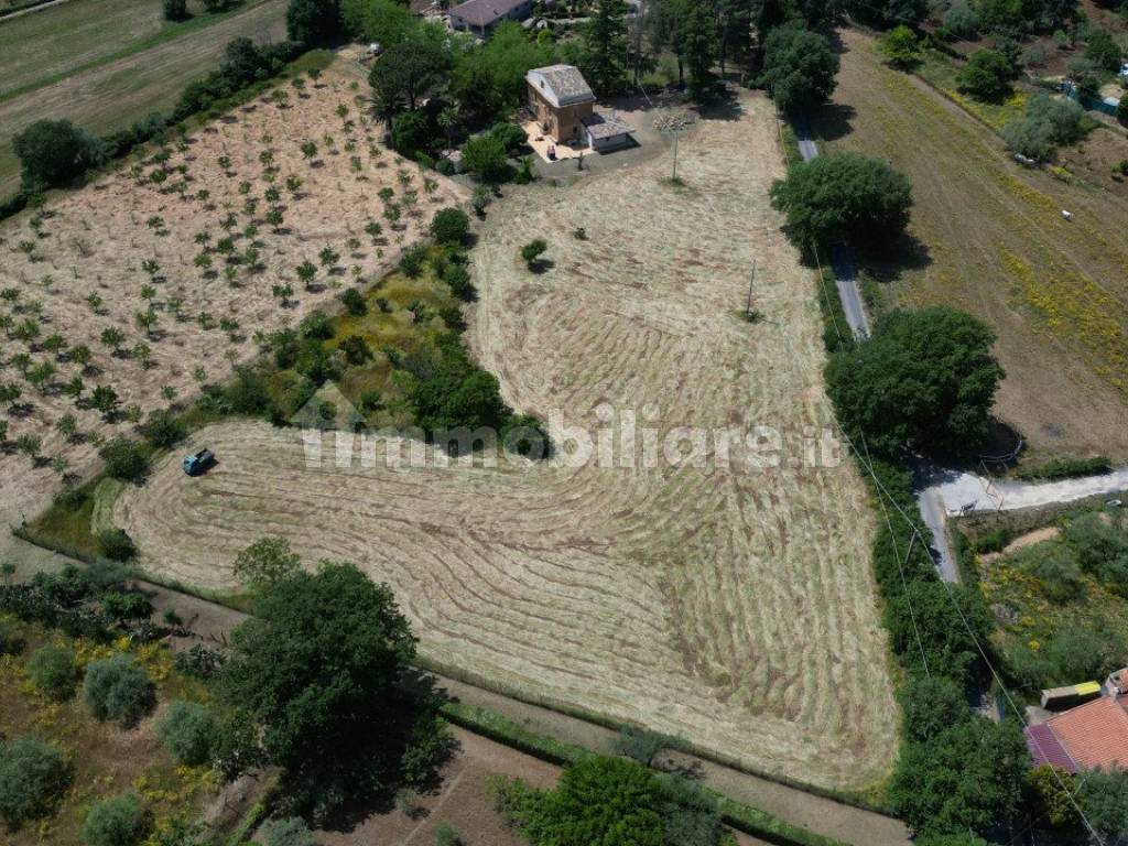 Terreno