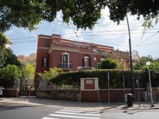 Zona
