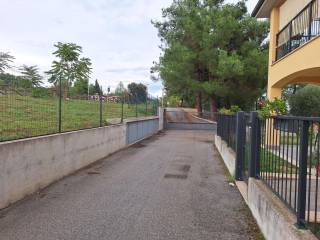 Zona