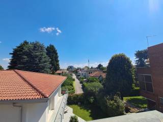 Vista