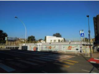 Zona