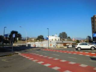 Zona