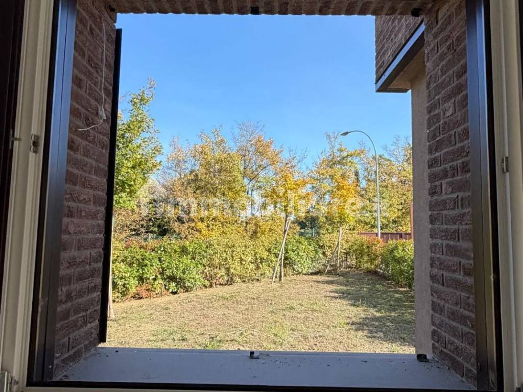 Vista