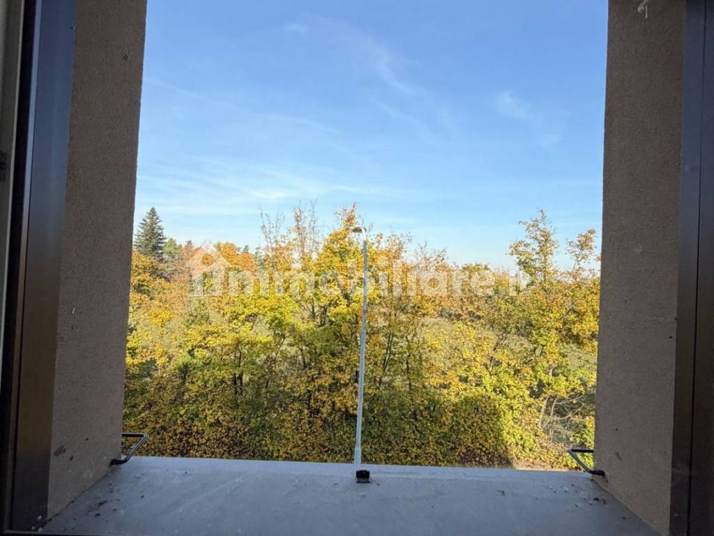 Vista