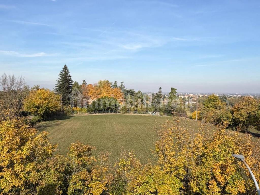 Vista