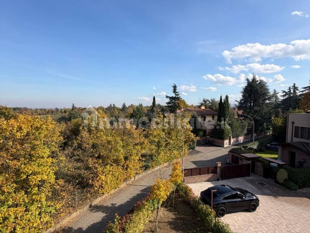 Vista