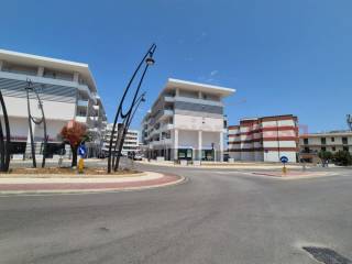 Zona