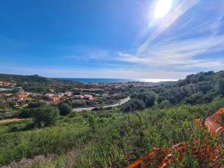 Vista