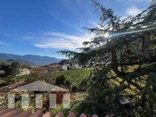Vista