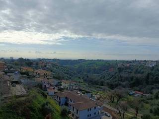 Vista