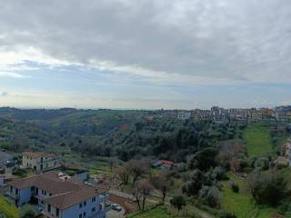 Vista