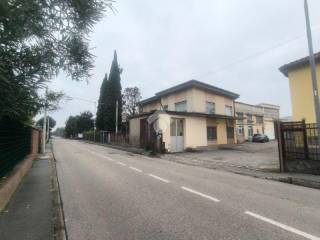 Zona