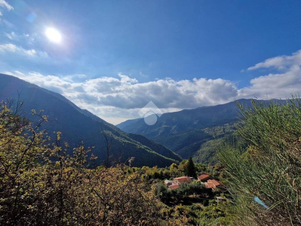 Vista