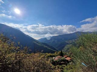Vista