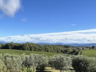 Vista