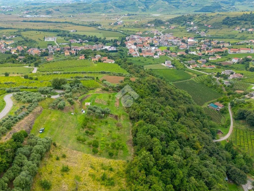 Vista