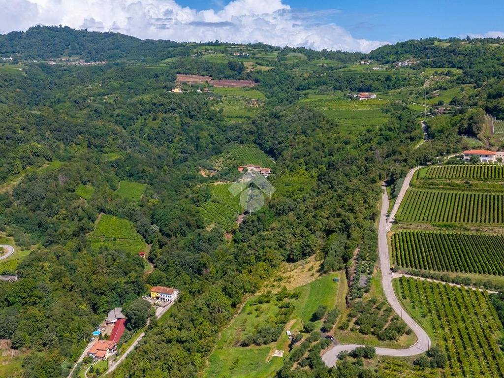 Vista