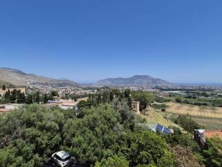 Vista