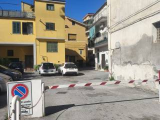 Zona