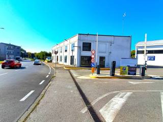 Zona
