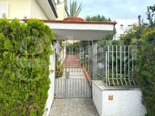 Ingresso