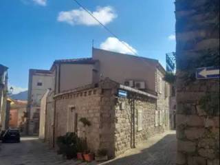 Zona