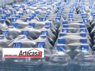 Zona