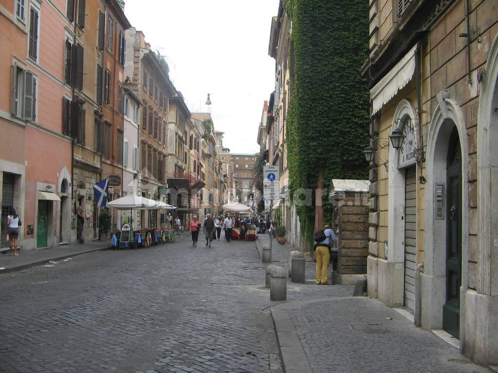 Zona