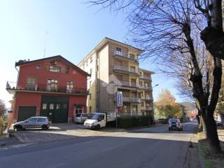 Zona