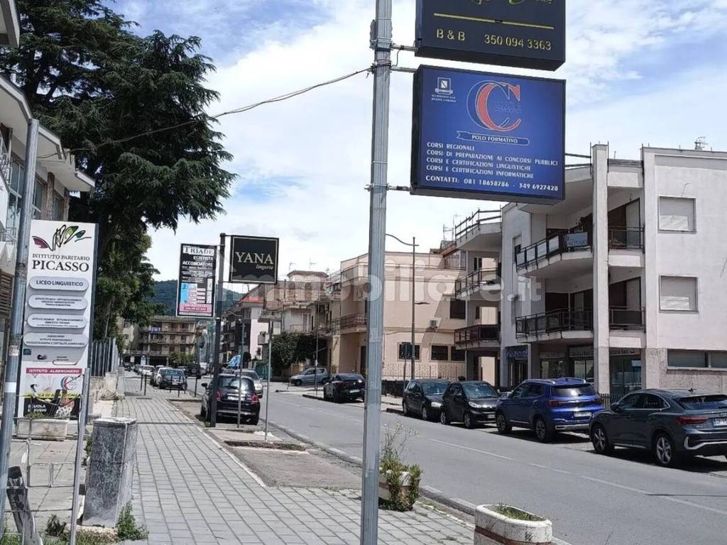 Zona
