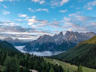 Vista