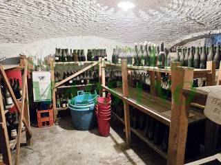 Cantina